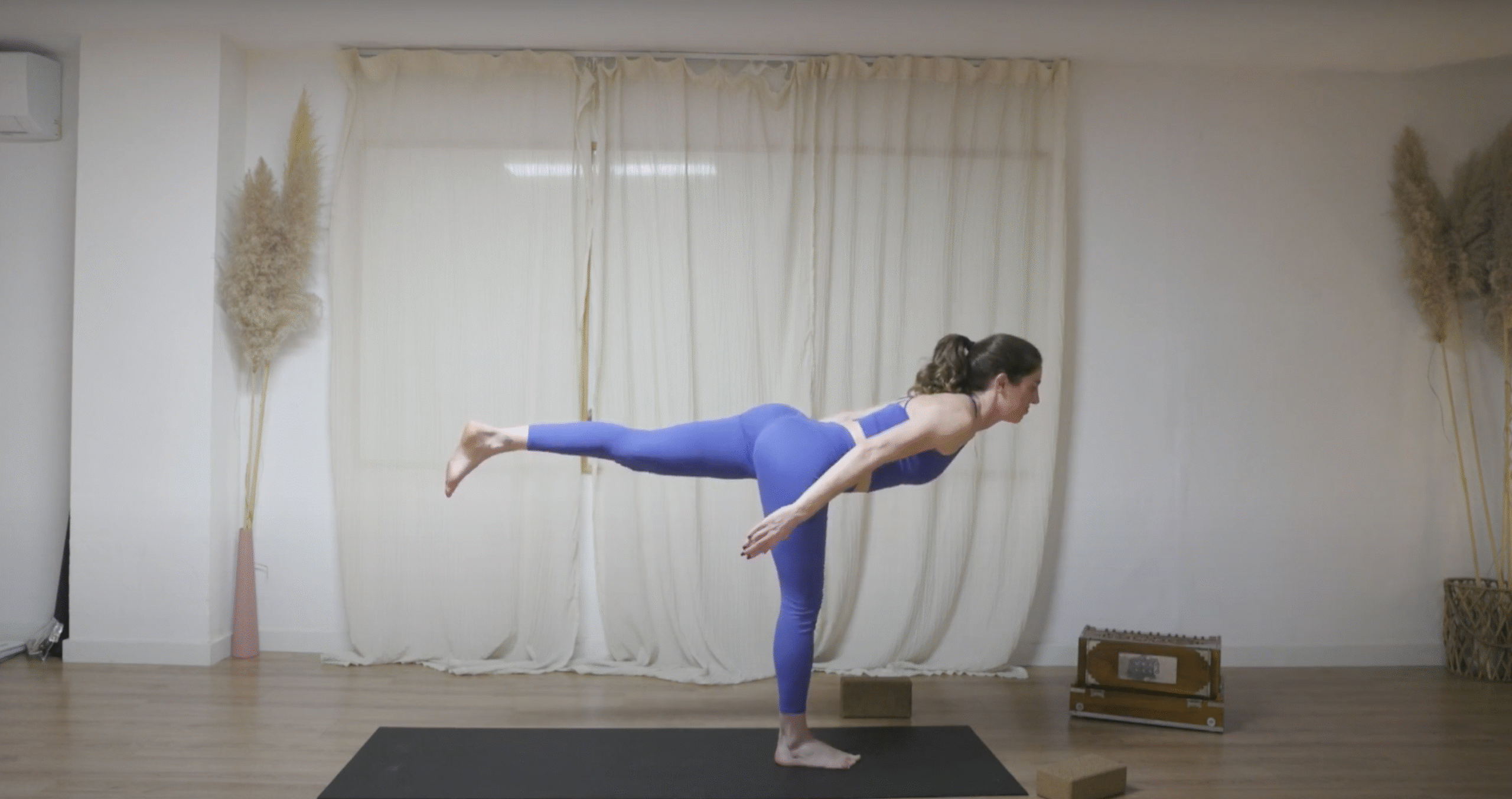 Hatha Flow Dinámico con Ana